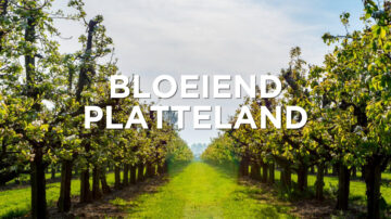 Bloeiend Platteland