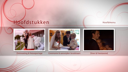 Special Moments DVD en Blu-ray menu voor bijvoorbeeld jullie trouwvideo - Hoofdstukken
