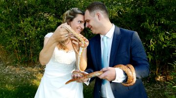 Trouwfilm Niels en Frederika in Ouwehands Dierenpark te Rhenen