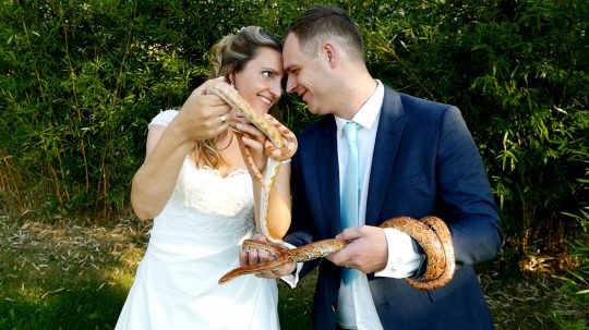 Trouwfilm Niels en Frederika in Ouwehands Dierenpark te Rhenen